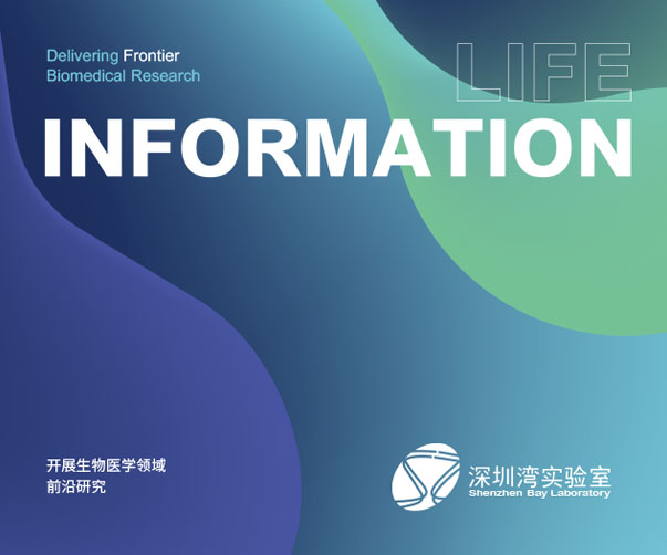 Logo設(shè)計指南：上海vi設(shè)計公司打造完美品牌標(biāo)志的要點(diǎn)