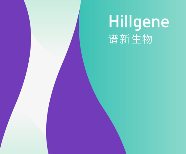 打造獨(dú)特品牌形象：上海VI設(shè)計的五大成功案例分析